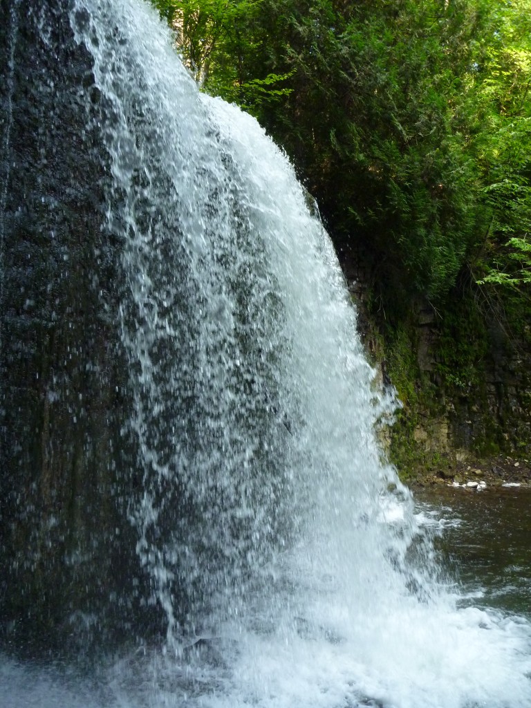 hoggs falls boyne river flesherton ontario bruce trail