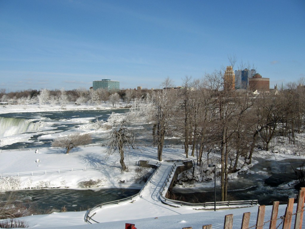 goat island niagara falls new york winter