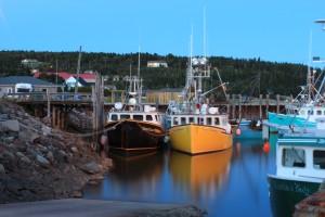 alma new brunswick fishing boats bay of fundy