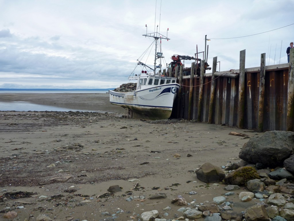 alma new brunswick bay of fundy low tide