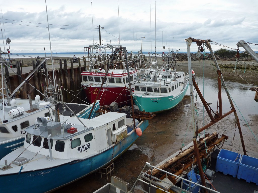 alma new brunswick fishing boats bay of fundy low tide