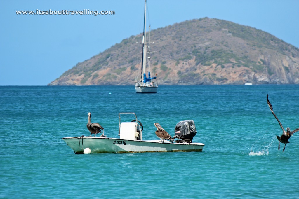 magens bay st. thomas u.s. virgin islands