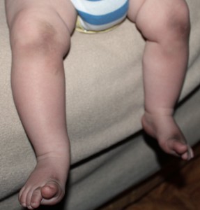 dirty floor comfort inn hollywood florida airport cruise port south