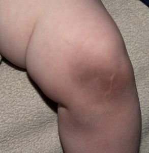 dirty floor comfort inn hollywood florida airport cruise port south