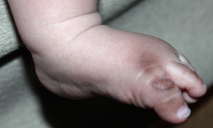 dirty floor comfort inn hollywood florida airport cruise port south