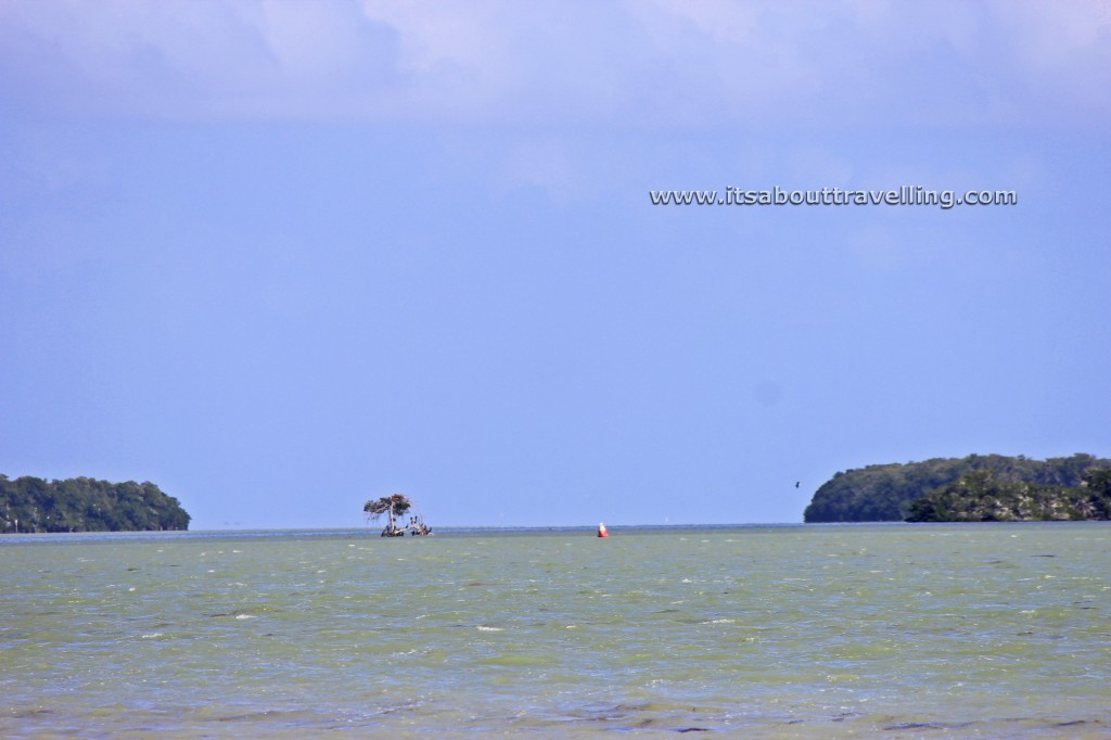 florida bay flamingo campground everglades national park