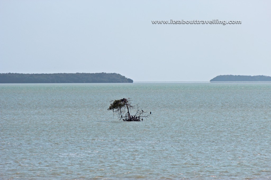florida bay everglades national park