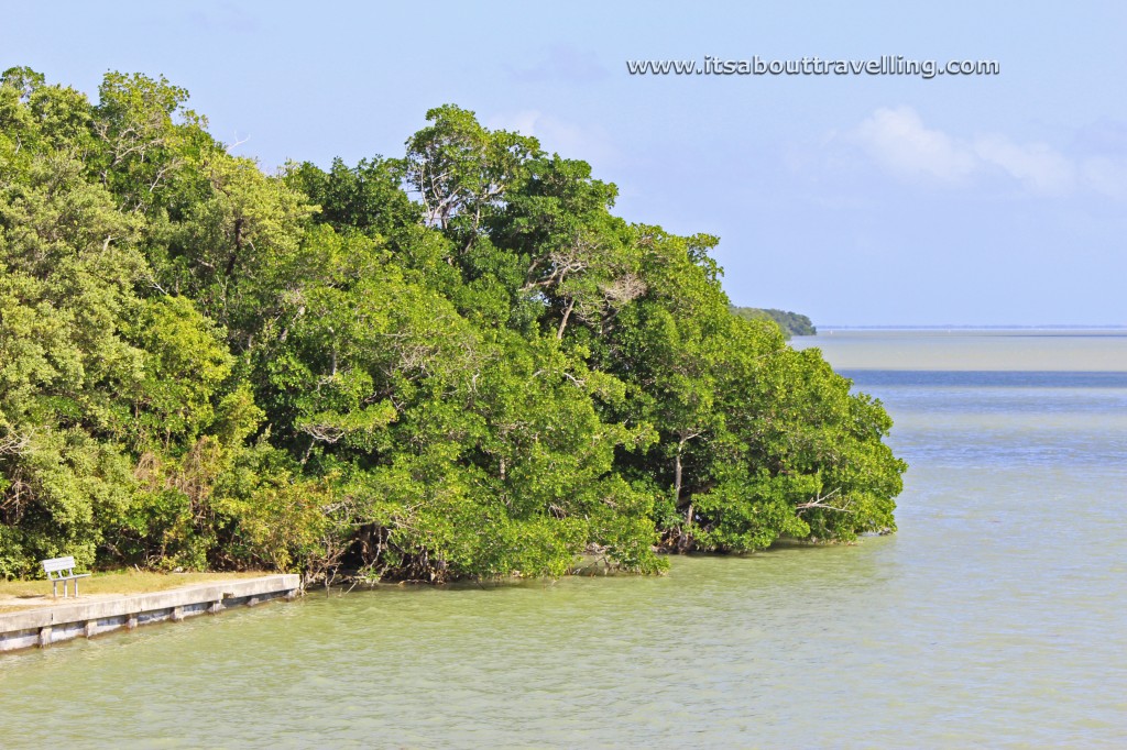 flamingo visitor center everglades national park
