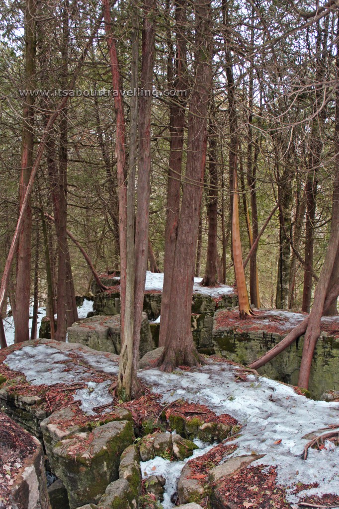 bruce trail limehouse conservation area
