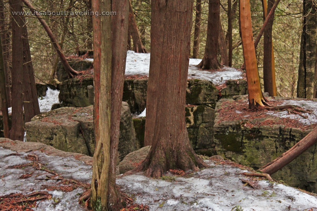 bruce trail crevices limehouse conservation area