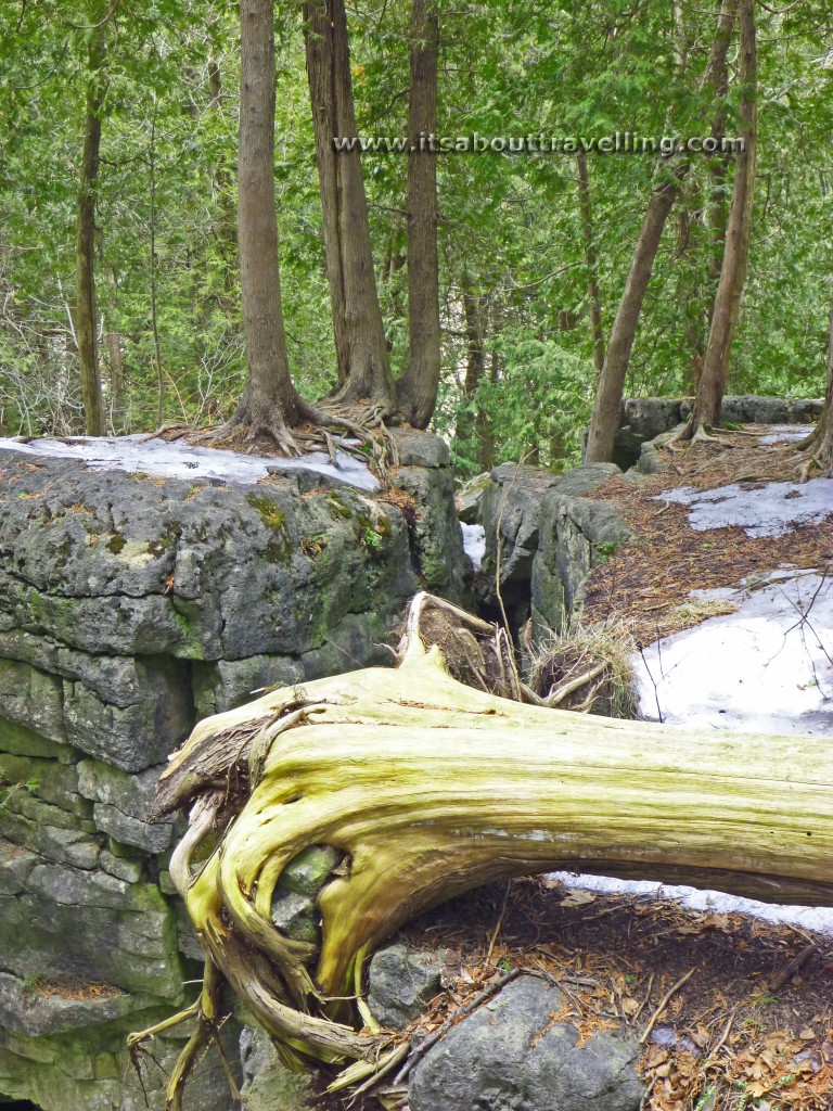bruce trail limehouse conservation area