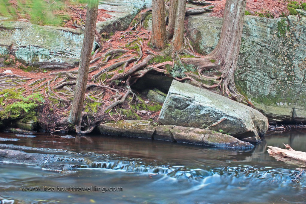 potts creek bracebridge ontario