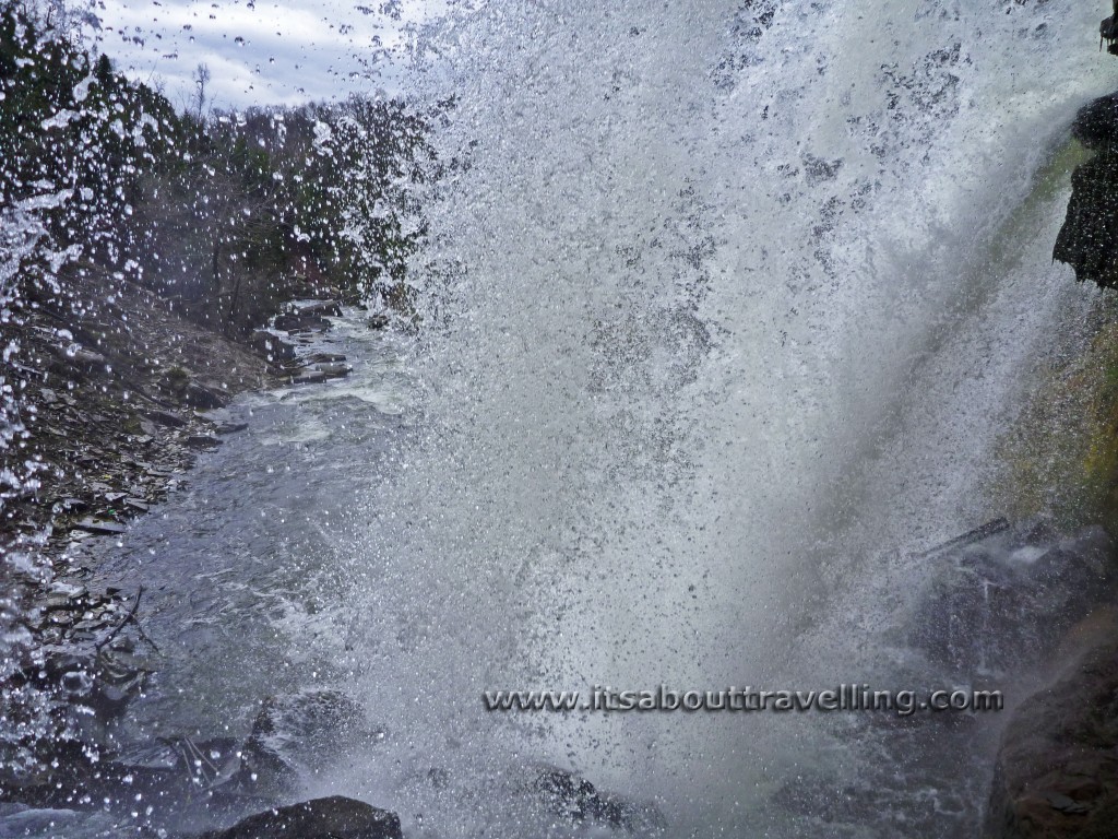 forks of the credit provincial park