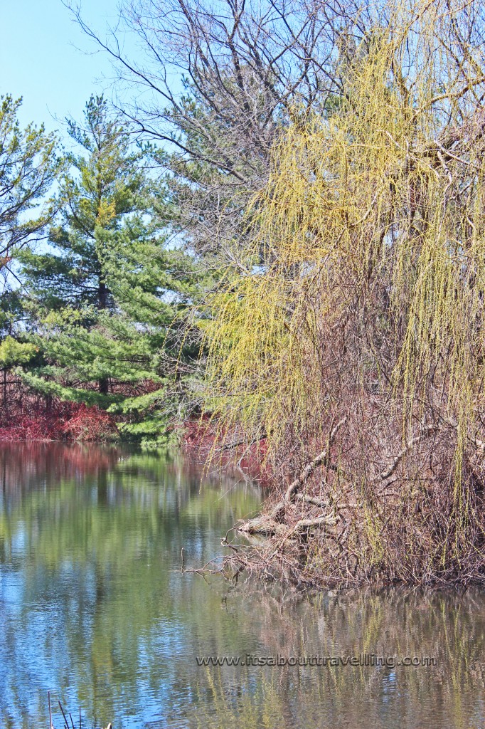 island lake conservation area orangeville