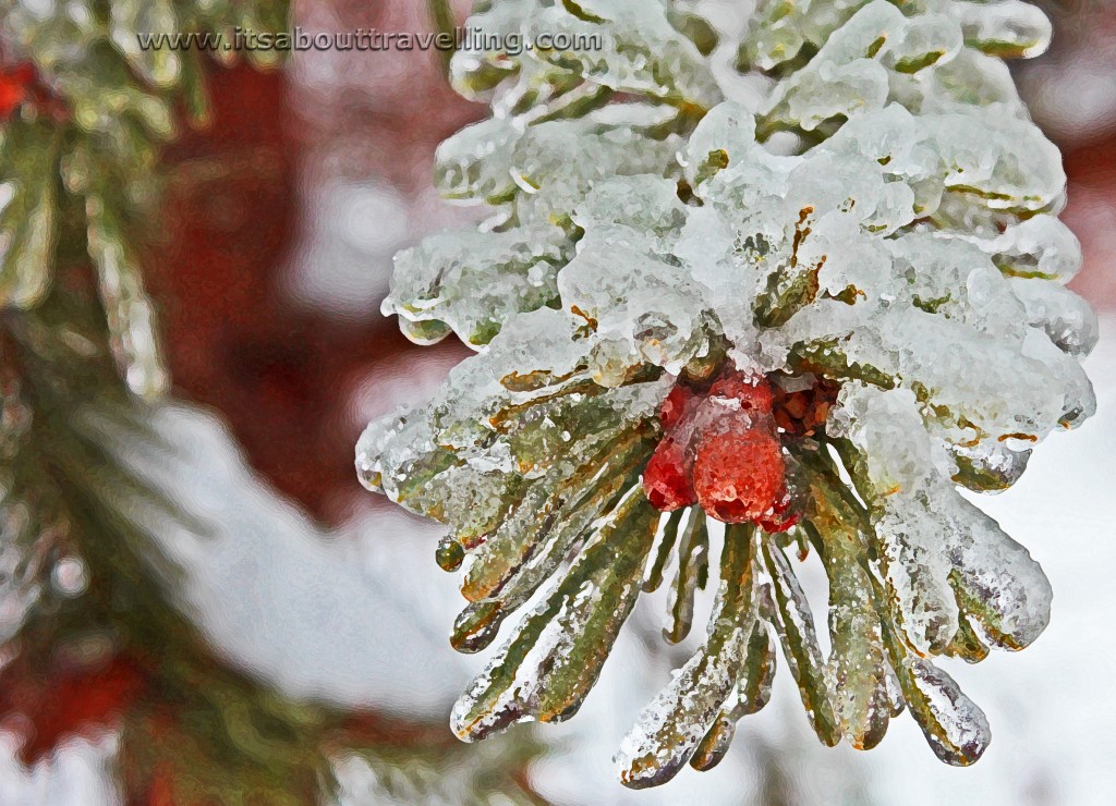 2013 christmas ice storm