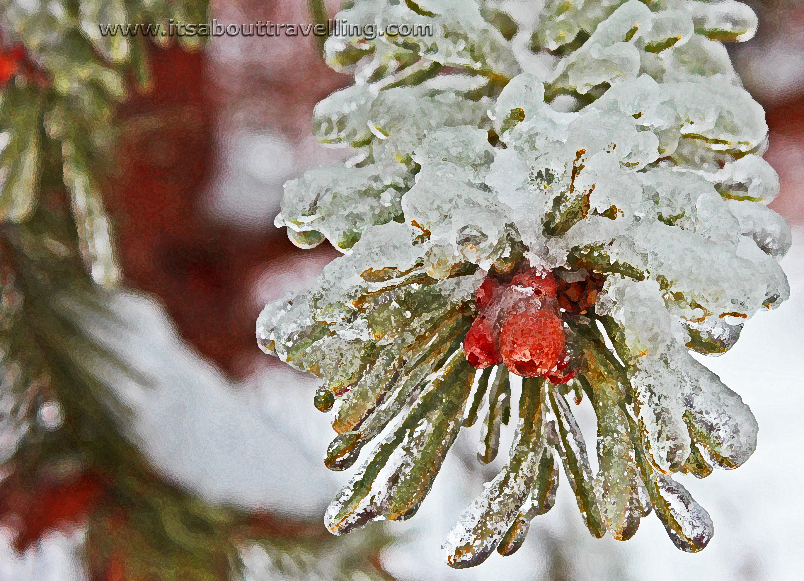 2013 christmas ice storm
