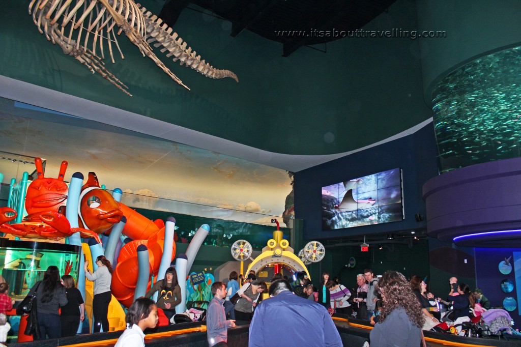 main lobby ripleys aquarium of canada toronto ontario
