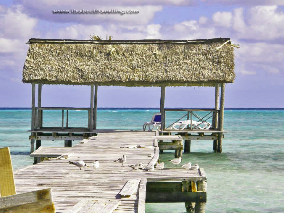 allegro club cayo guillarmo cuba resort