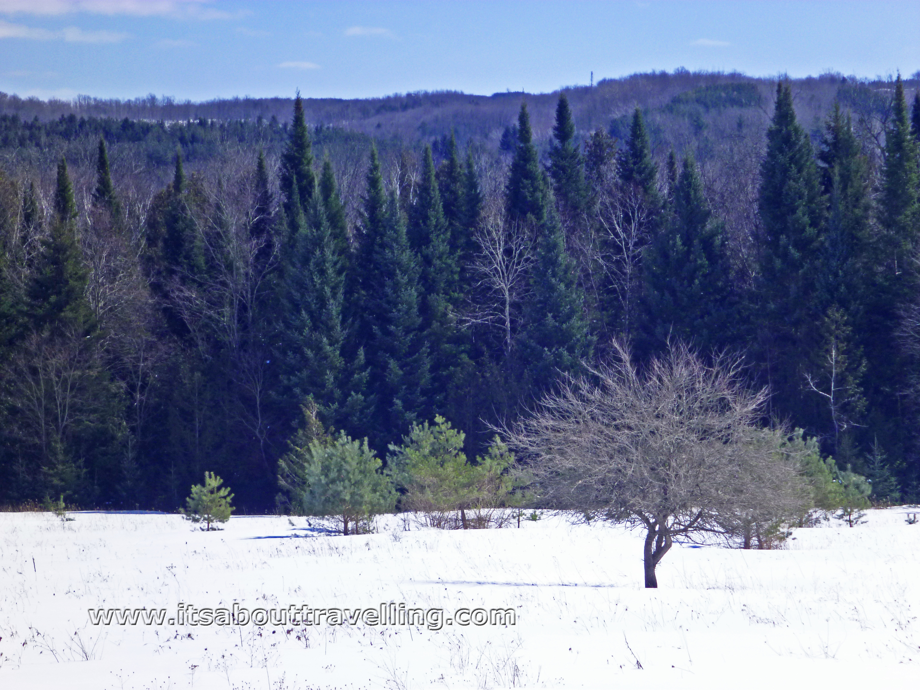 hockley valley snow covered meadow
