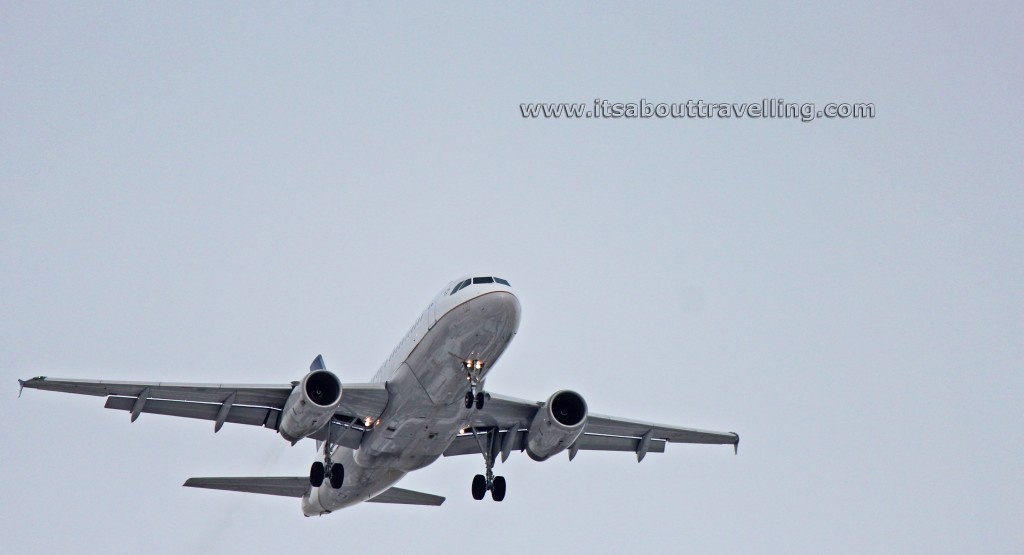 united airlines airbus a319