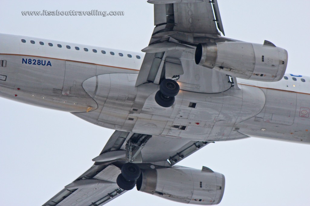 united airlines airbus a319