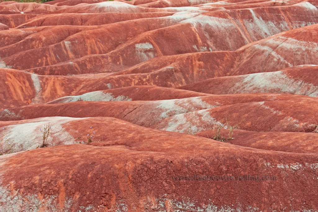 cheltenham badlands ontario canada