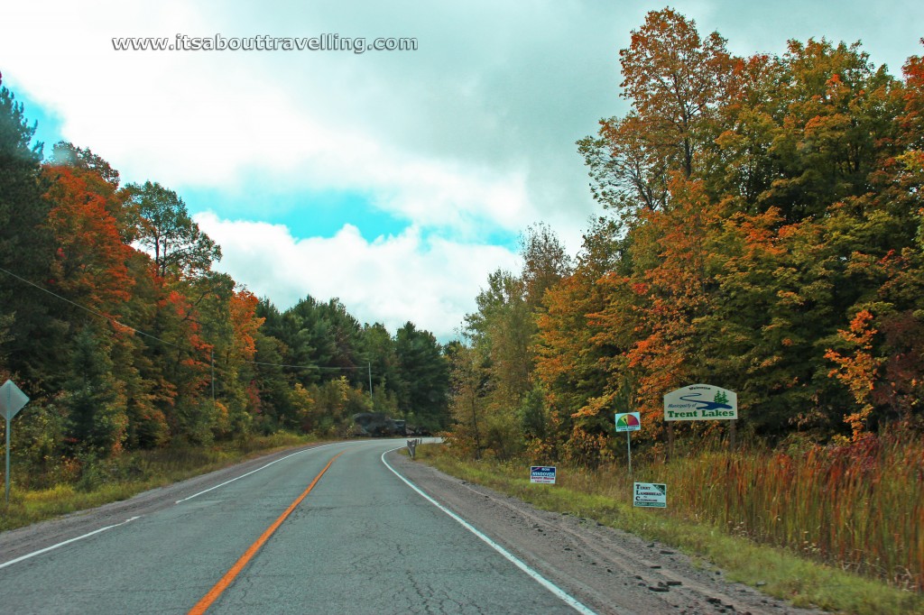 trent lakes hwy 507 autumn colours