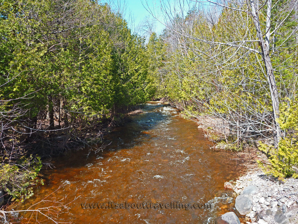 Devil's Glen and the Bruce Trail's Mad River Side Trail