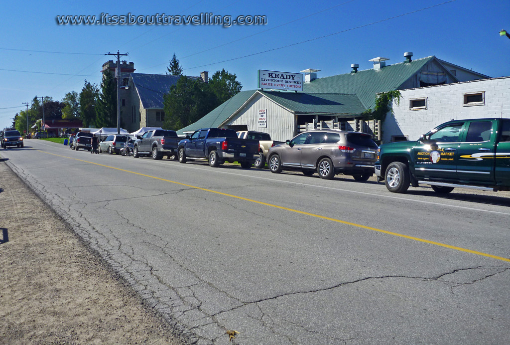 keady livestock market ontario canada