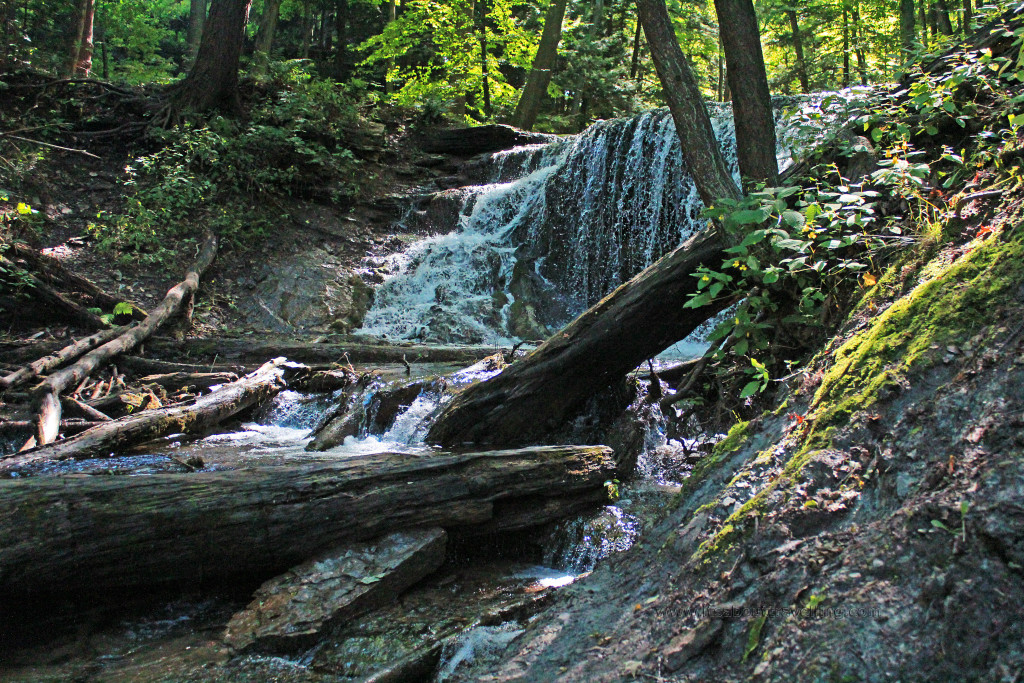 weavers creek falls harrison park owen sound ontario