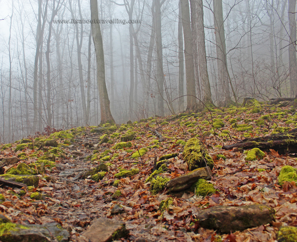 typical bruce trail scene stoney creek ontario