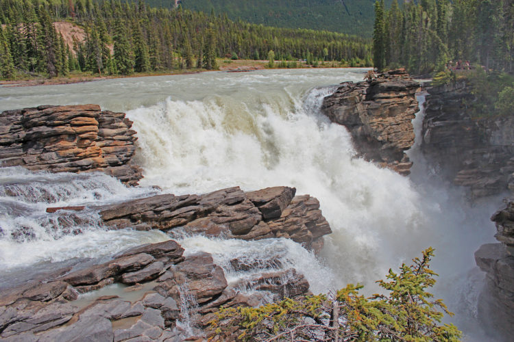 athabasca falls jasper national park