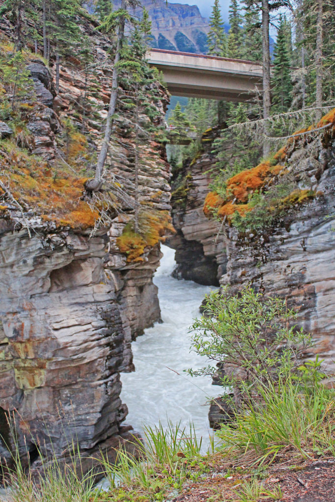 athabasca falls jasper national park