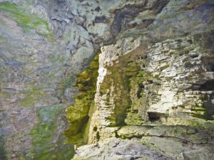 bruce peninsula national park cave point