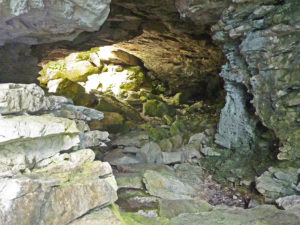 bruce peninsula national park cave point