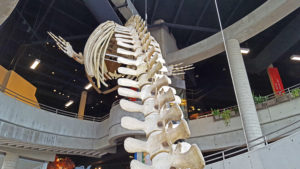 science north sudbury ontario canada