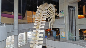 science north sudbury ontario canada