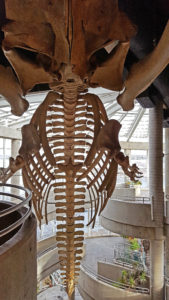 science north sudbury ontario canada