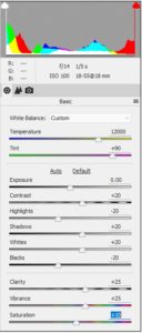 photoshop elements 14 raw editor settings