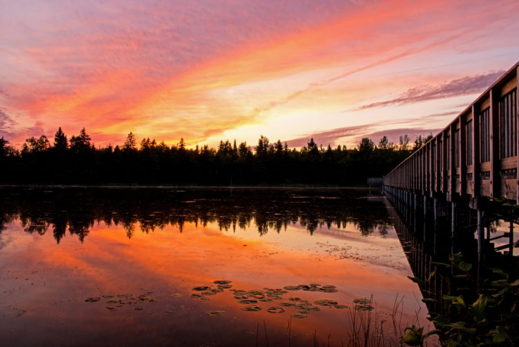 island lake conservation area orangeville sunset