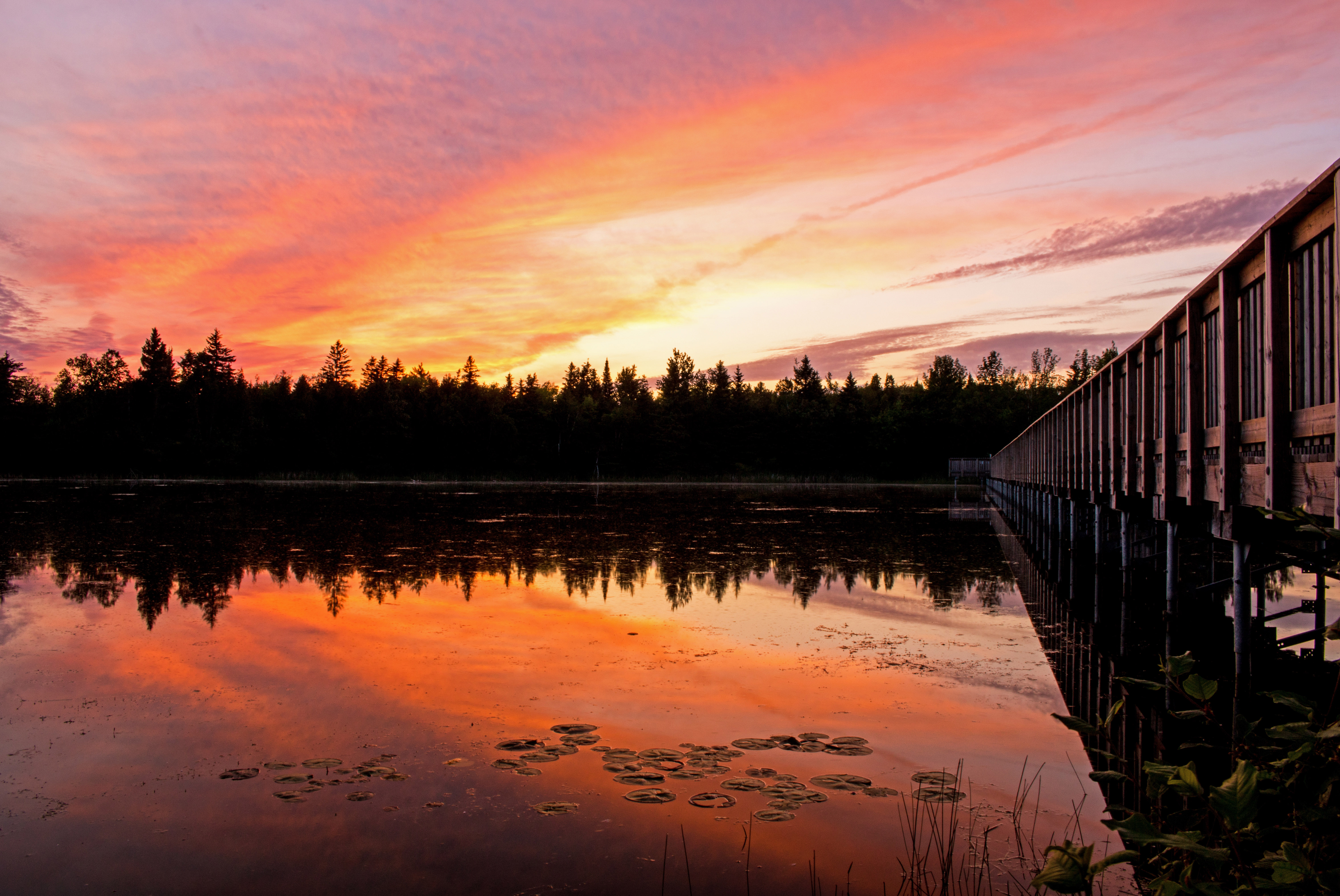 island lake conservation area orangeville sunset