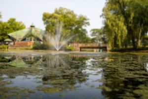 centreville toronto island