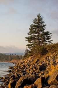 north sydney cabot trail koa campground great bras d'or seal island bridge