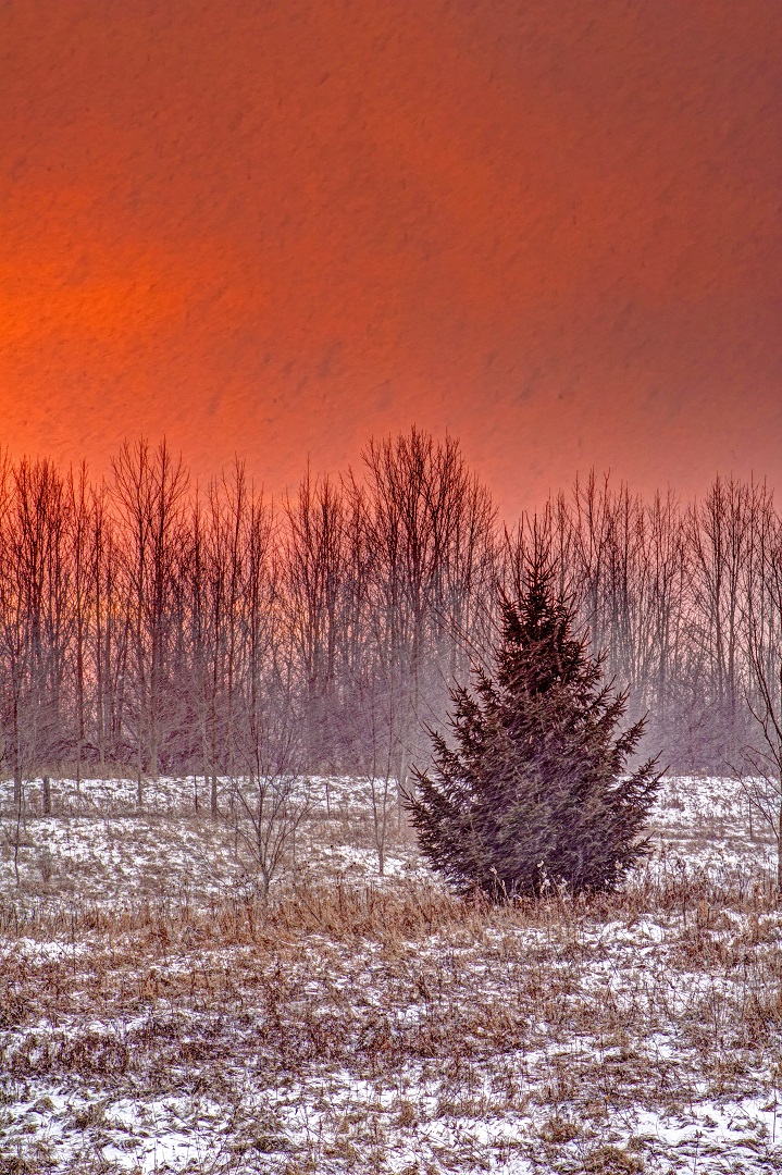 forks of the credit provincial park