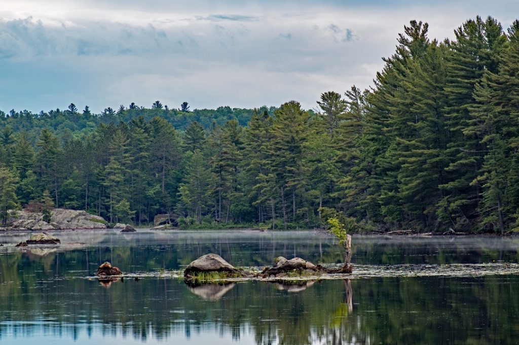 nogies creek ontario