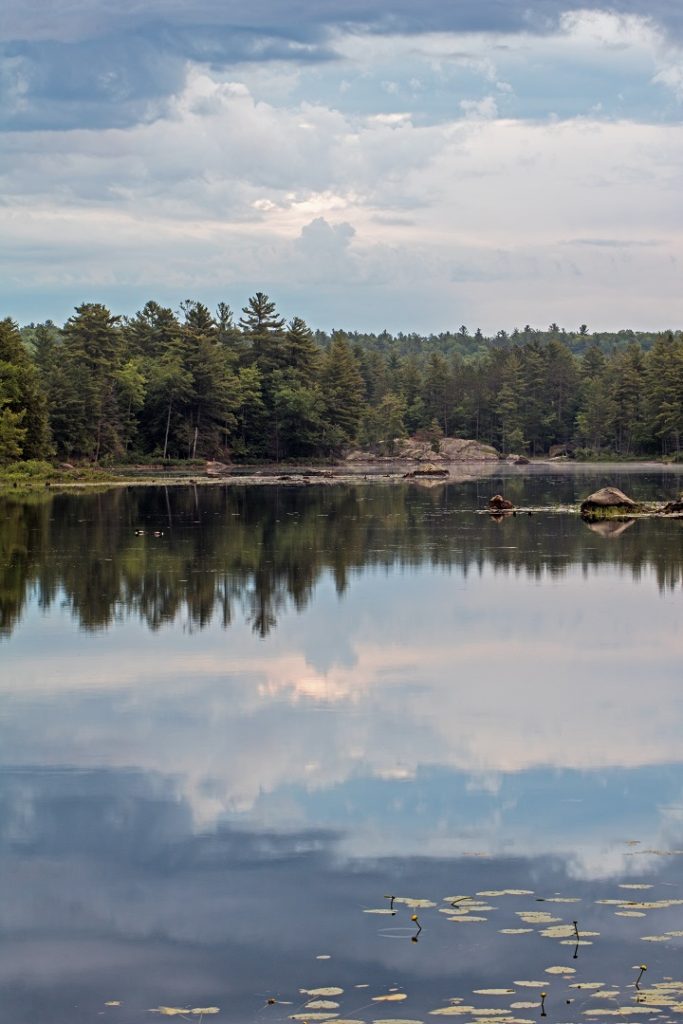 nogies creek ontario