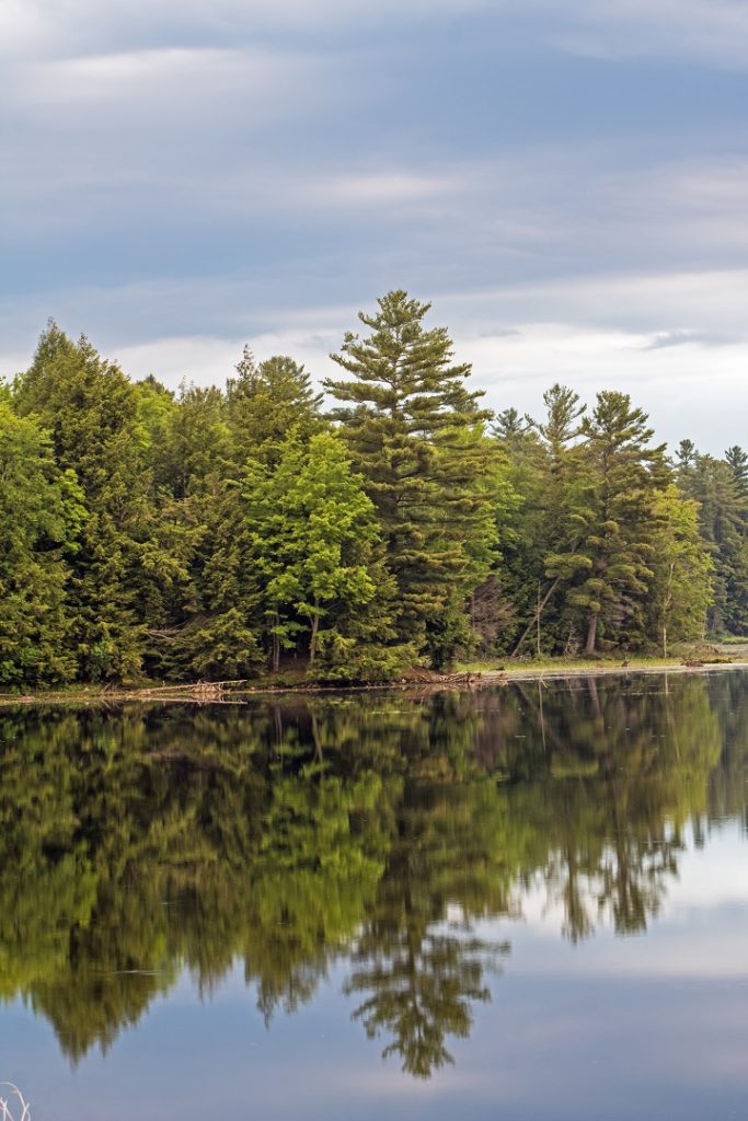 nogies creek ontario