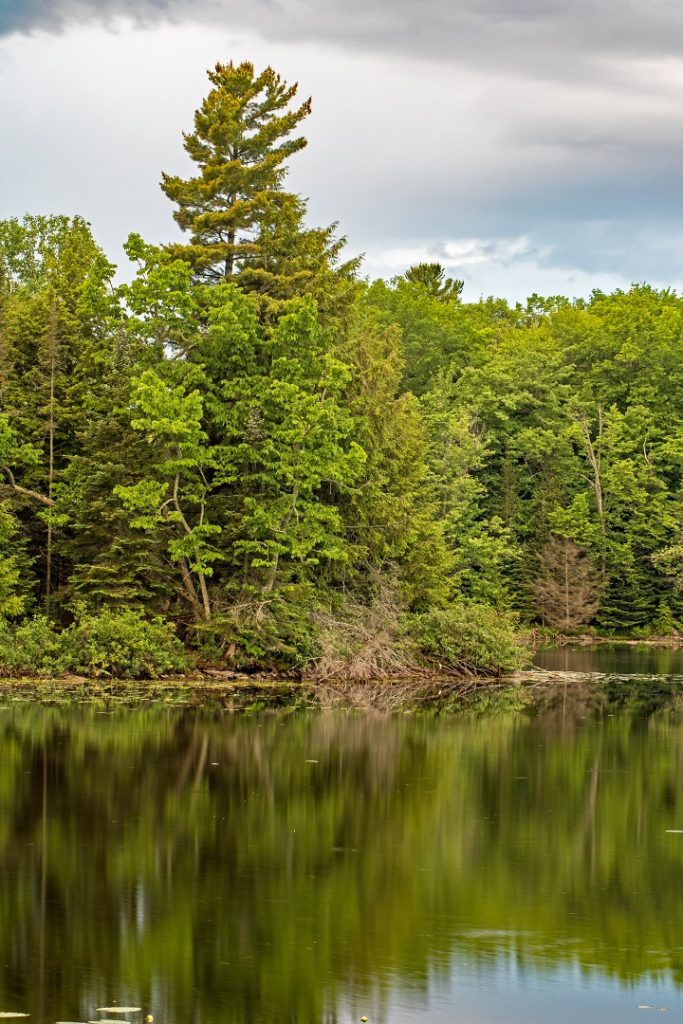 nogies creek ontario