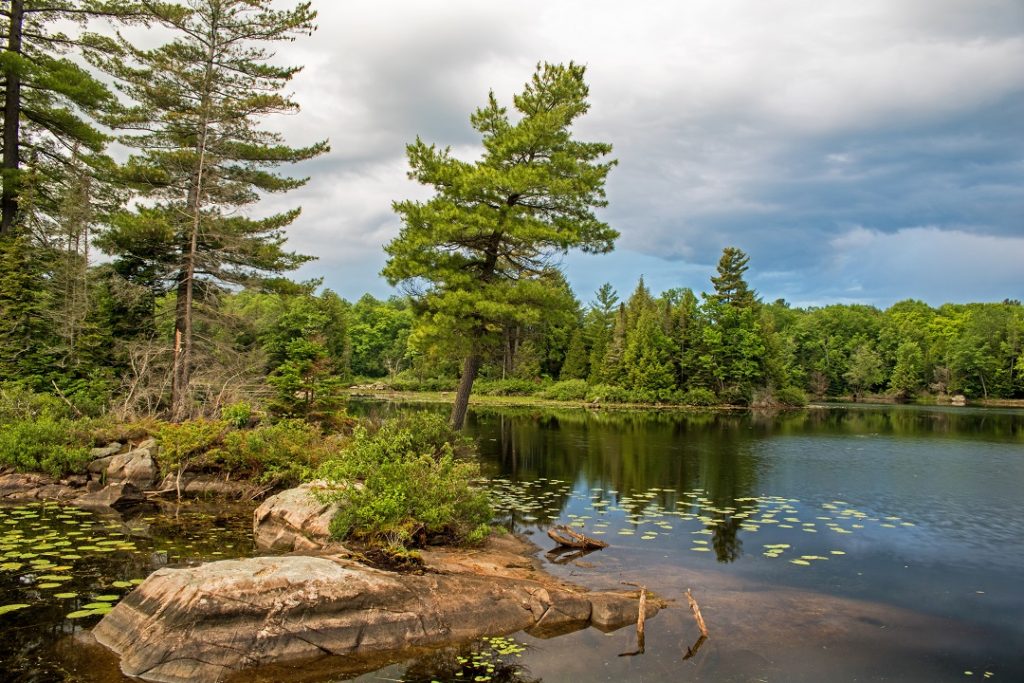 nogies creek ontario