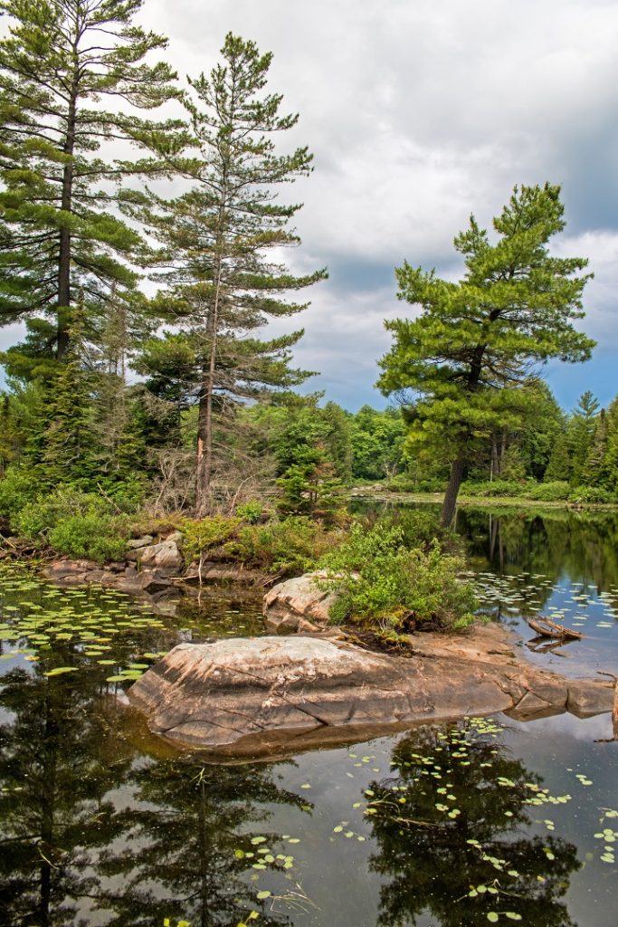 nogies creek ontario